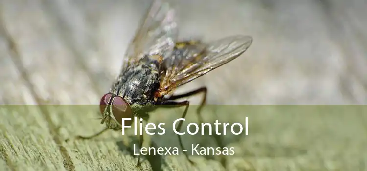 Flies Control Lenexa - Kansas