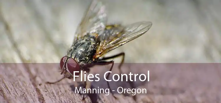 Flies Control Manning - Oregon