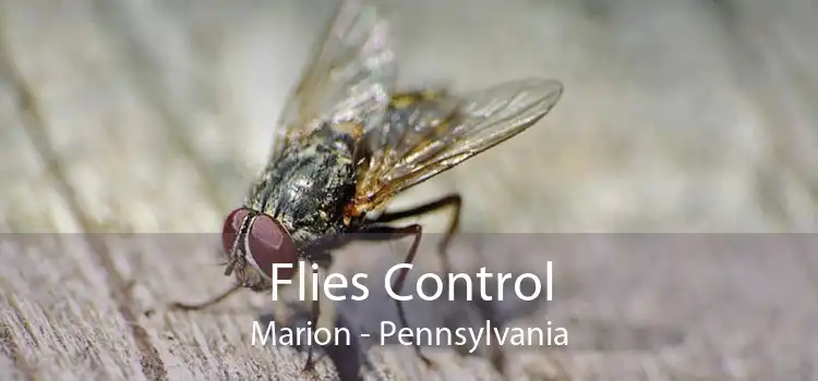 Flies Control Marion - Pennsylvania