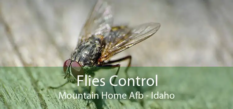 Flies Control Mountain Home Afb - Idaho