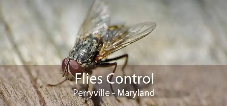 Flies Control Perryville - Maryland