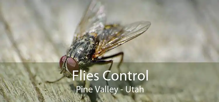 Flies Control Pine Valley - Utah