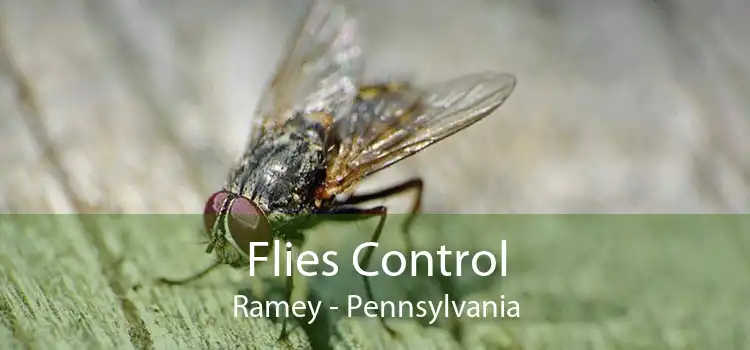 Flies Control Ramey - Pennsylvania