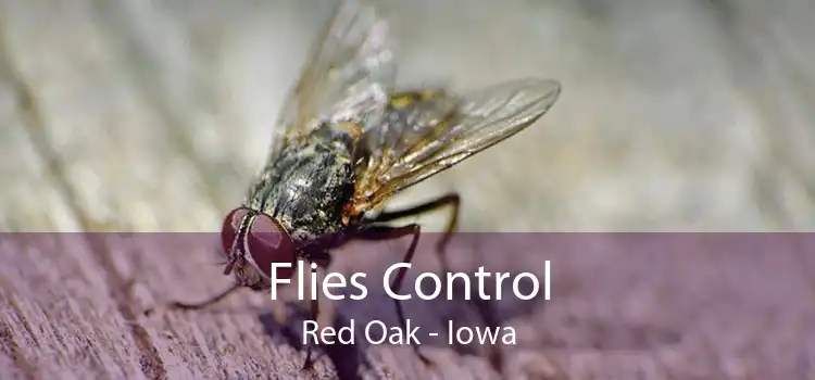 Flies Control Red Oak - Iowa