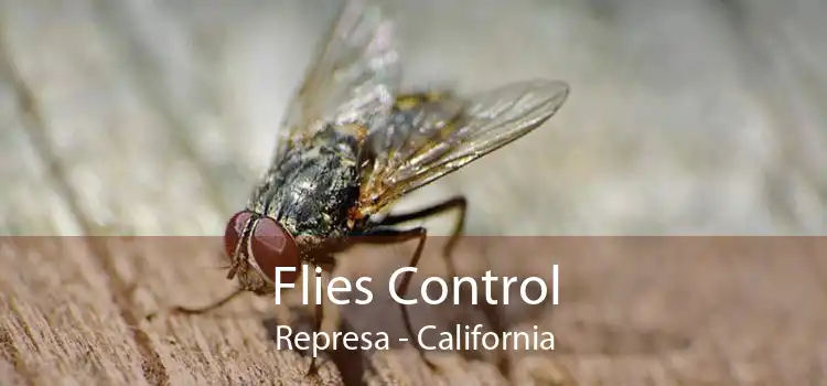 Flies Control Represa - California