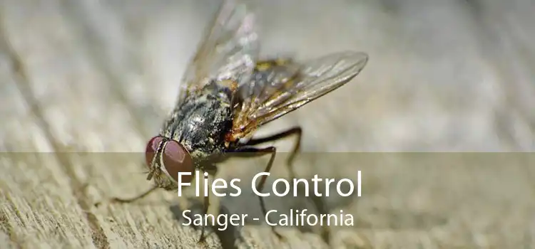 Flies Control Sanger - California