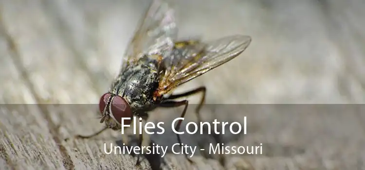 Flies Control University City - Missouri