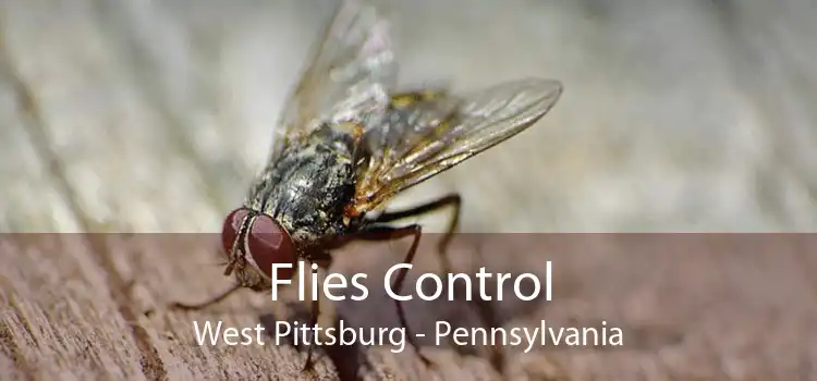 Flies Control West Pittsburg - Pennsylvania