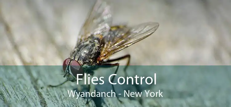 Flies Control Wyandanch - New York