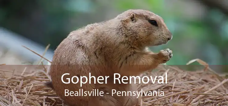 Gopher Removal Beallsville - Pennsylvania