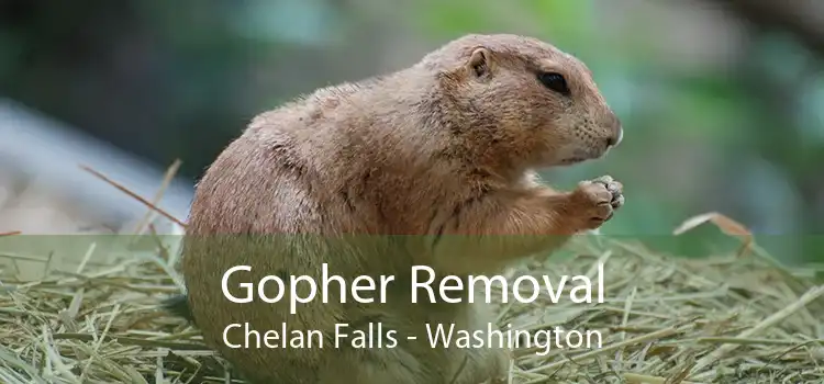 Gopher Removal Chelan Falls - Washington