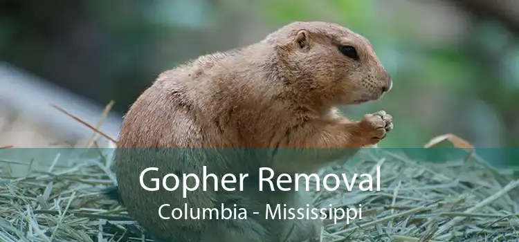 Gopher Removal Columbia - Mississippi