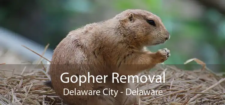 Gopher Removal Delaware City - Delaware