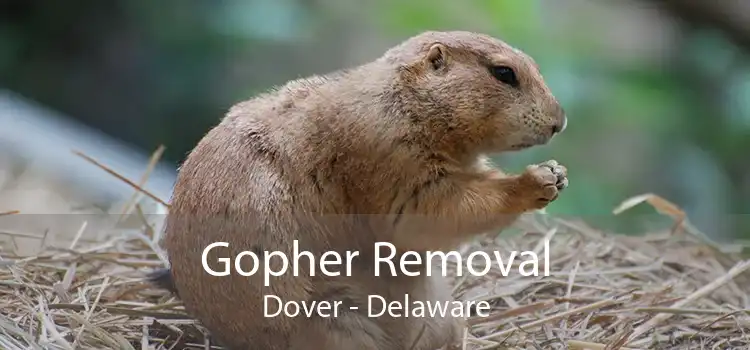 Gopher Removal Dover - Delaware