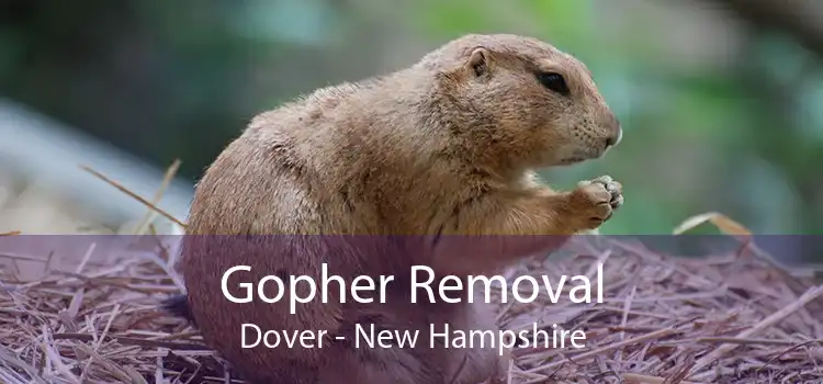 Gopher Removal Dover - New Hampshire