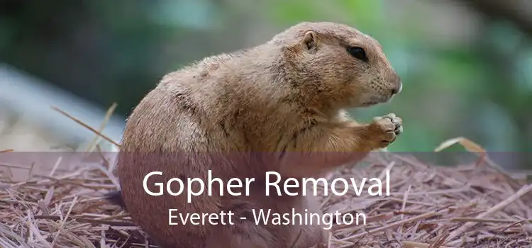 Gopher Removal Everett - Washington