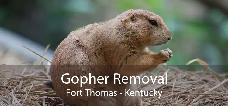 Gopher Removal Fort Thomas - Kentucky