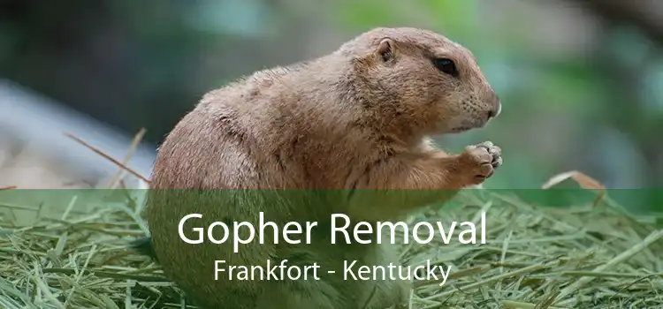 Gopher Removal Frankfort - Kentucky