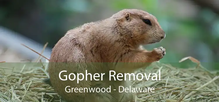 Gopher Removal Greenwood - Delaware