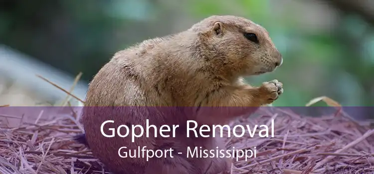 Gopher Removal Gulfport - Mississippi