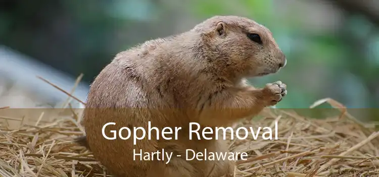 Gopher Removal Hartly - Delaware