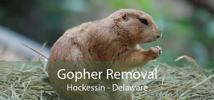 Gopher Removal Hockessin - Delaware