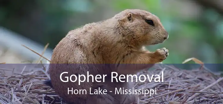 Gopher Removal Horn Lake - Mississippi