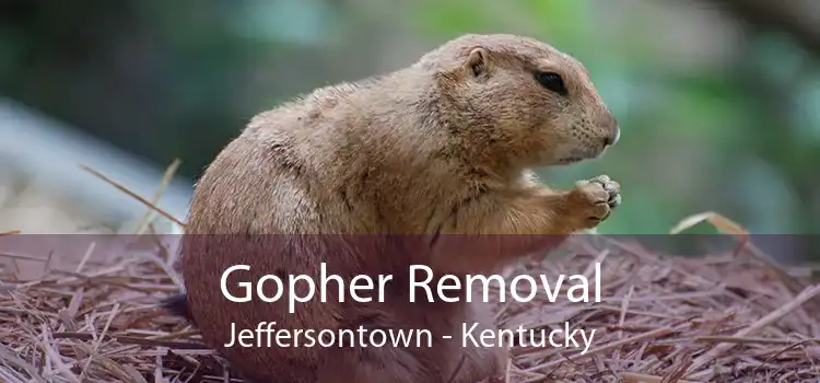 Gopher Removal Jeffersontown - Kentucky