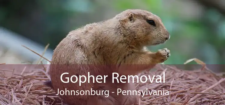 Gopher Removal Johnsonburg - Pennsylvania