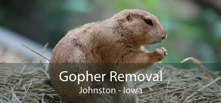 Gopher Removal Johnston - Iowa