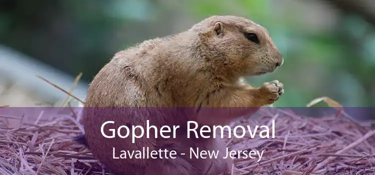 Gopher Removal Lavallette - New Jersey