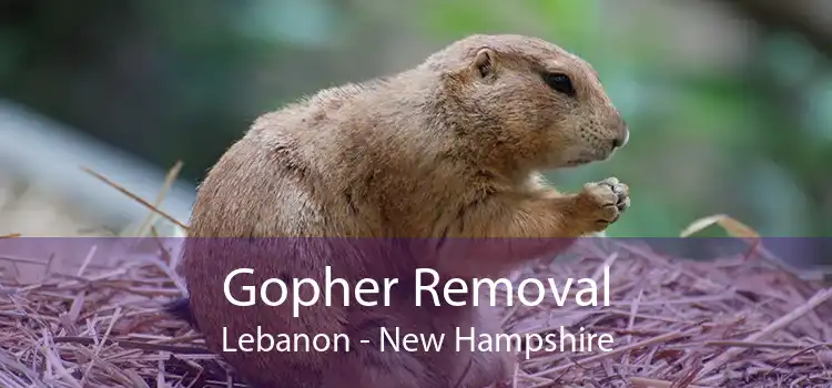 Gopher Removal Lebanon - New Hampshire