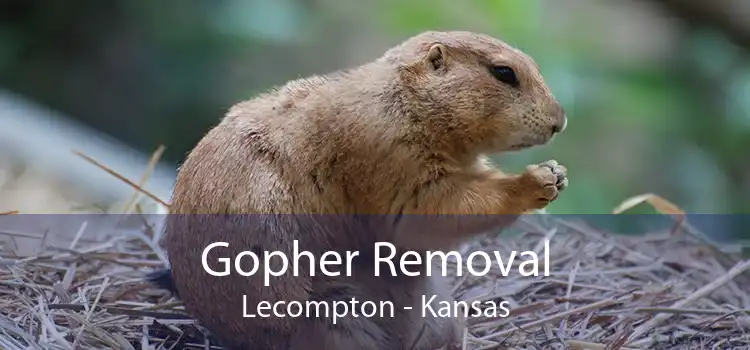 Gopher Removal Lecompton - Kansas