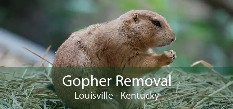 Gopher Removal Louisville - Kentucky