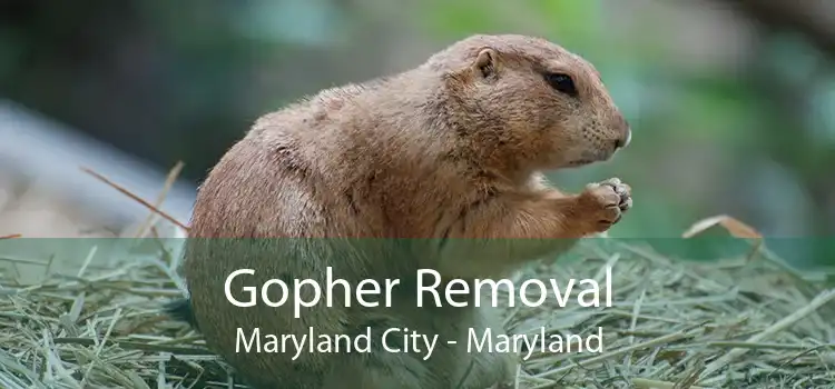 Gopher Removal Maryland City - Maryland