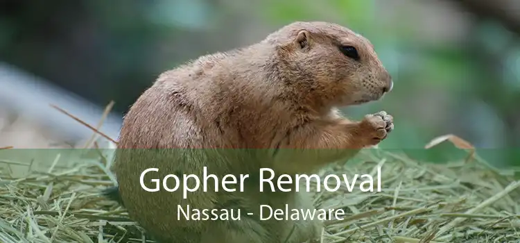 Gopher Removal Nassau - Delaware