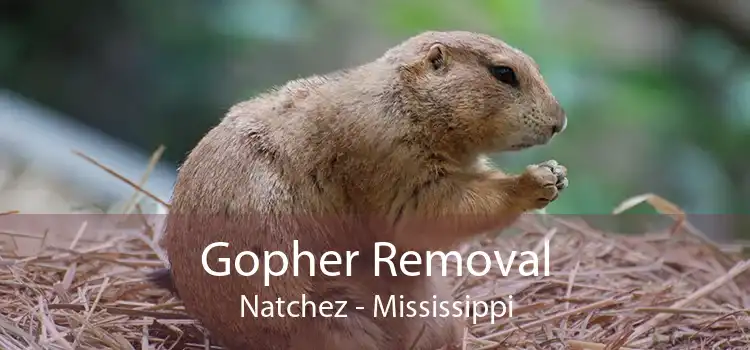 Gopher Removal Natchez - Mississippi