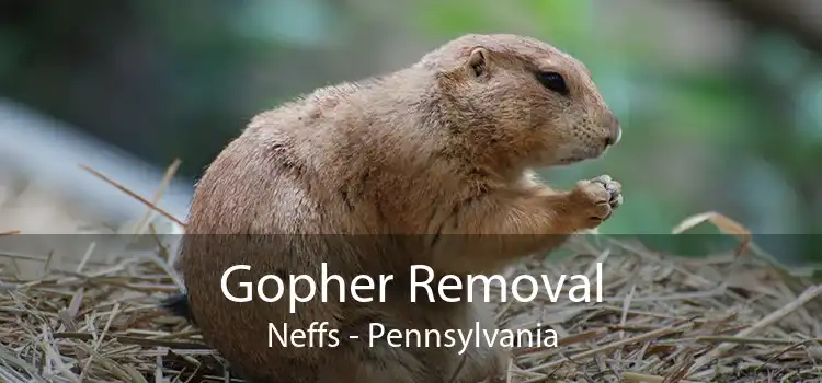 Gopher Removal Neffs - Pennsylvania