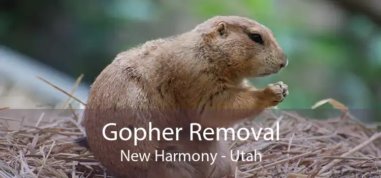 Gopher Removal New Harmony - Utah