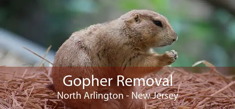 Gopher Removal North Arlington - New Jersey