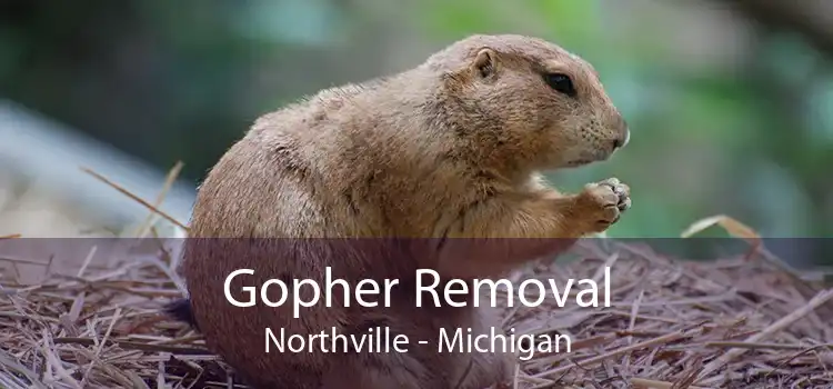 Gopher Removal Northville - Michigan