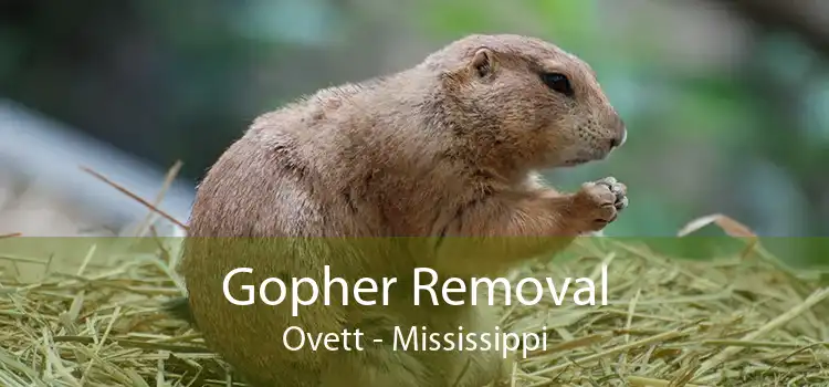 Gopher Removal Ovett - Mississippi