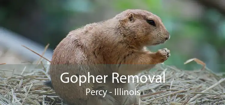 Gopher Removal Percy - Illinois