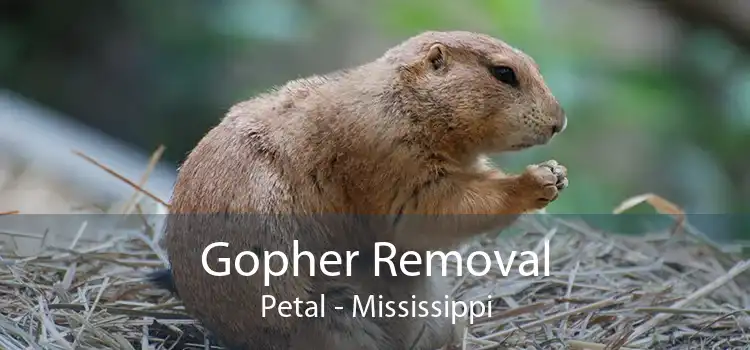 Gopher Removal Petal - Mississippi