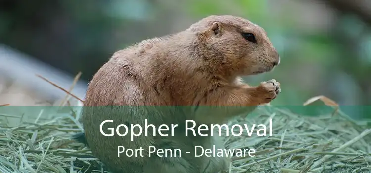 Gopher Removal Port Penn - Delaware