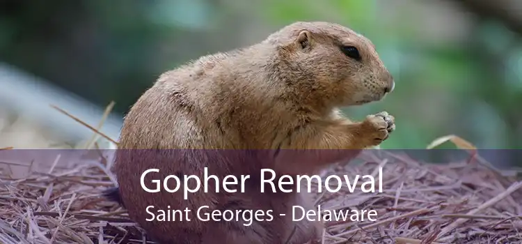 Gopher Removal Saint Georges - Delaware