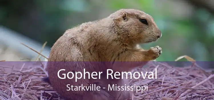 Gopher Removal Starkville - Mississippi