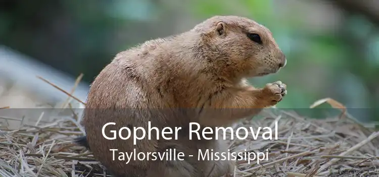 Gopher Removal Taylorsville - Mississippi