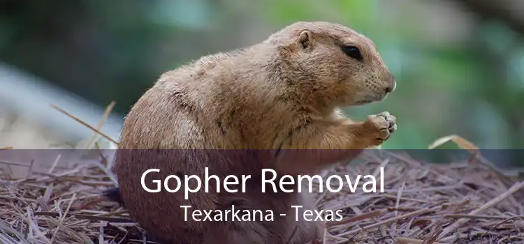 Gopher Removal Texarkana - Texas