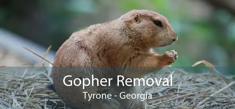 Gopher Removal Tyrone - Georgia